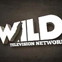 logo_wildTV
